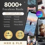 PLR 8000+ Faceless Reels Bundle